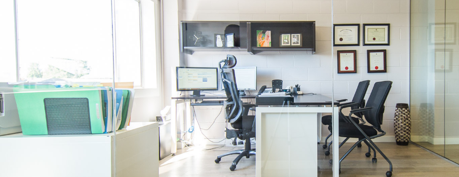 Farinaz Kovacevic Notary Public Online