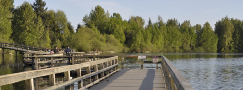 Badesha & Associates Online