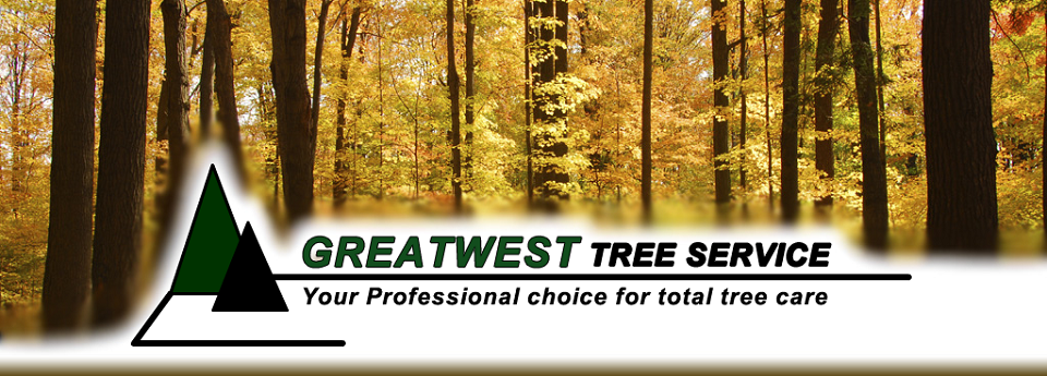 Greatwest Tree Service Online