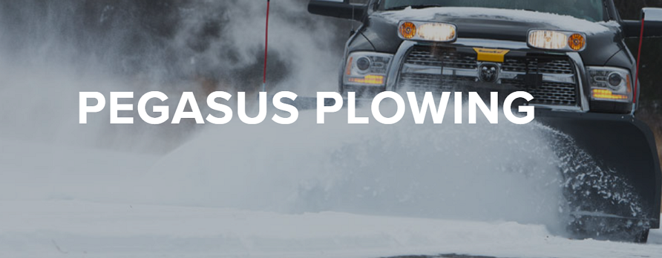 Pegasus Plowing Online