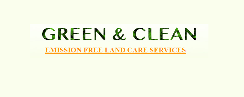 Green & Clean Online