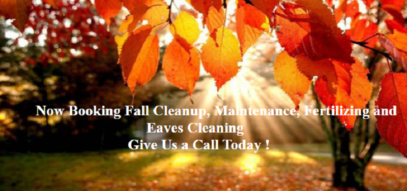 Total Maintenance Services Online