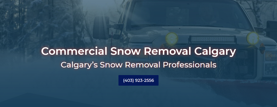 Diversified Snow Removal Services Online