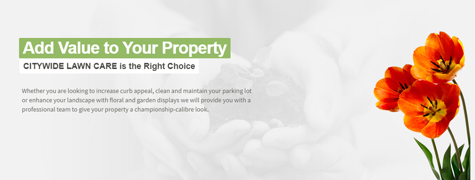 City Wide Lawn Care Online