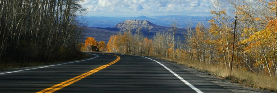 Mountainview Paving Online