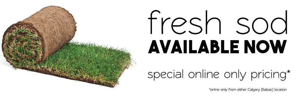 Burnco Landscape Online