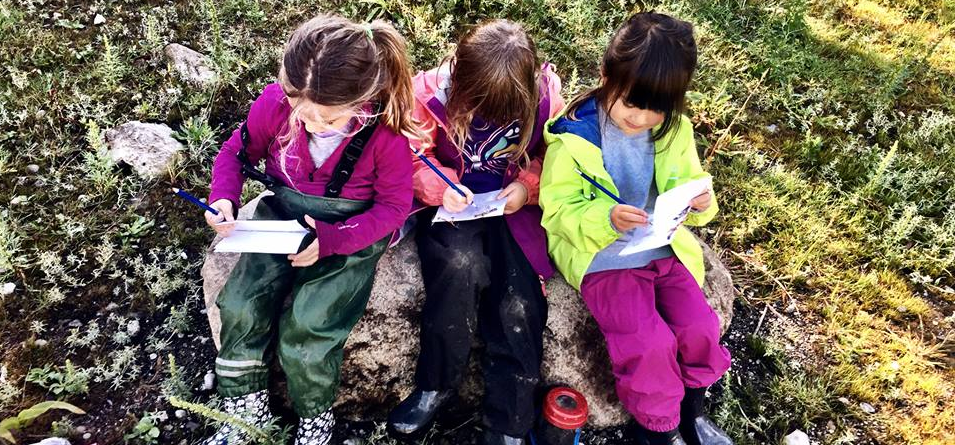 Bayview Community Preschool Online