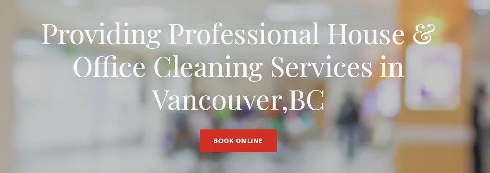 D' Link Cleaning Online