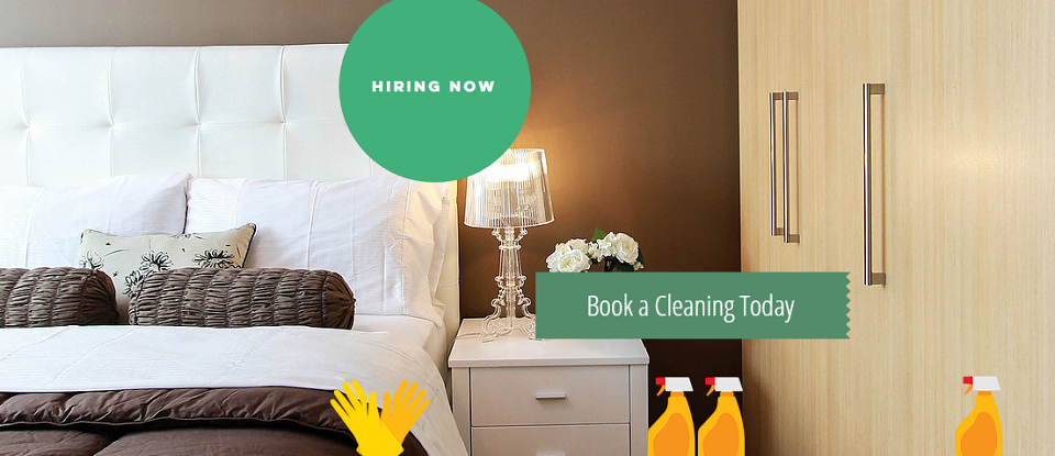 Puma Cleaning Online