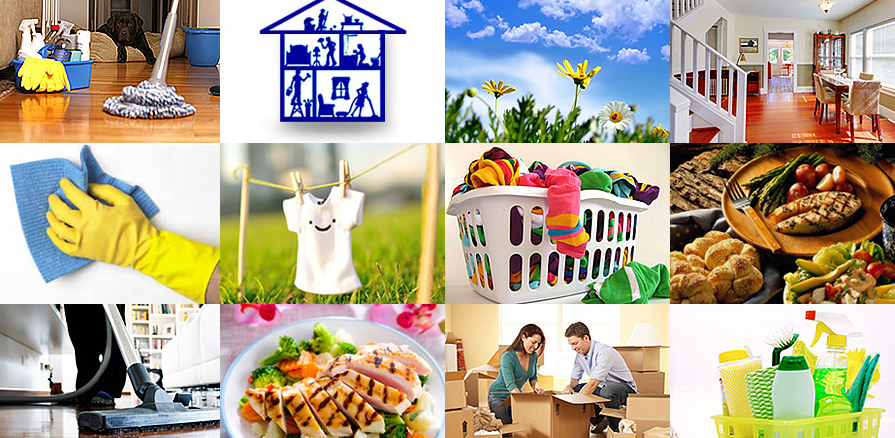 Island Domestic Services Online