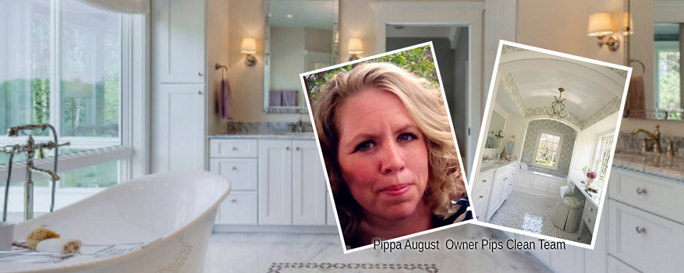 Pips Clean Team Online