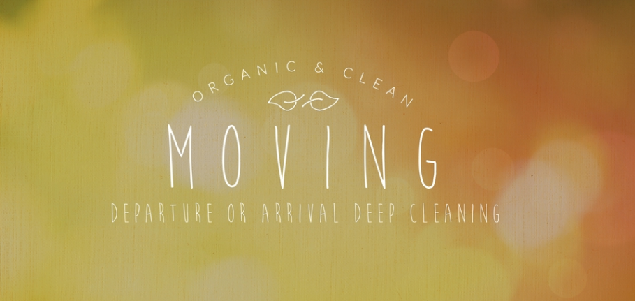 Green and Organic Cleaning Online