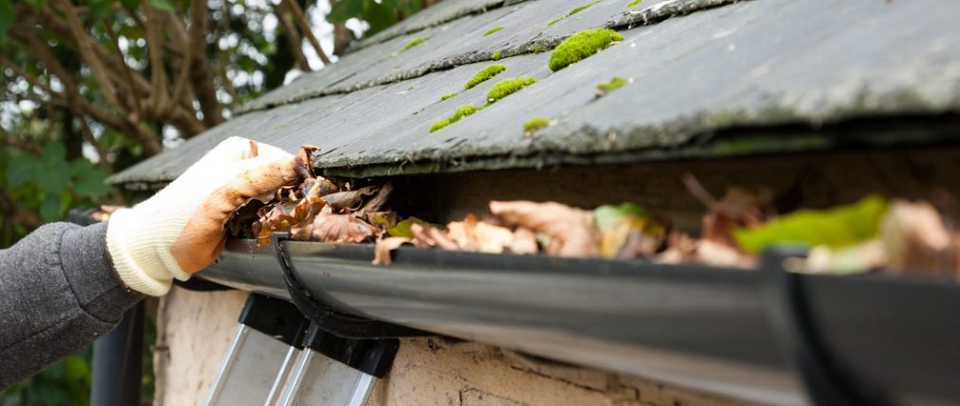 A Maid For A Day Online