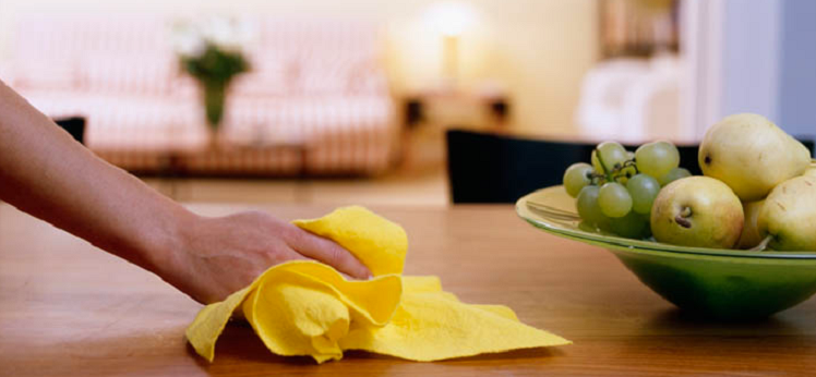 Healthy Home Maid Service Online