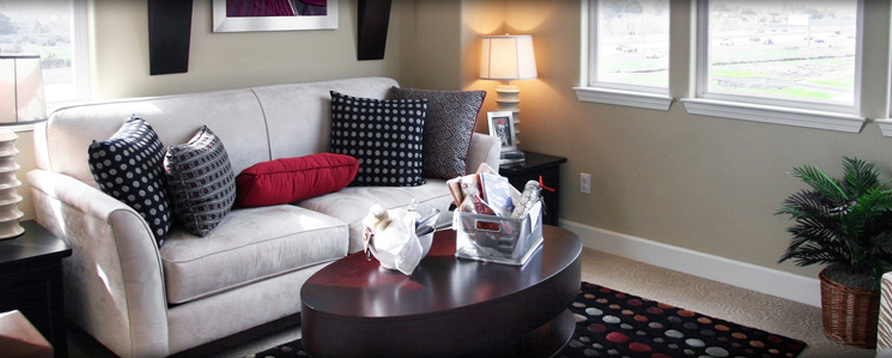 LadyBug Cleaners Online