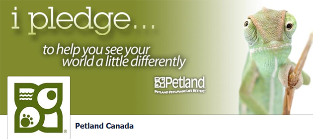 Petland online