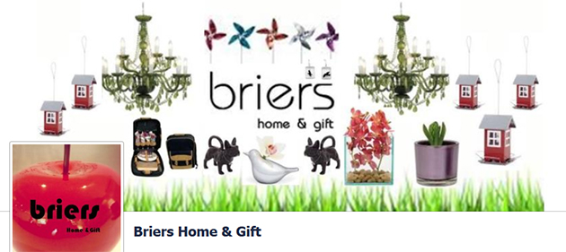 Briers Home & Gift online