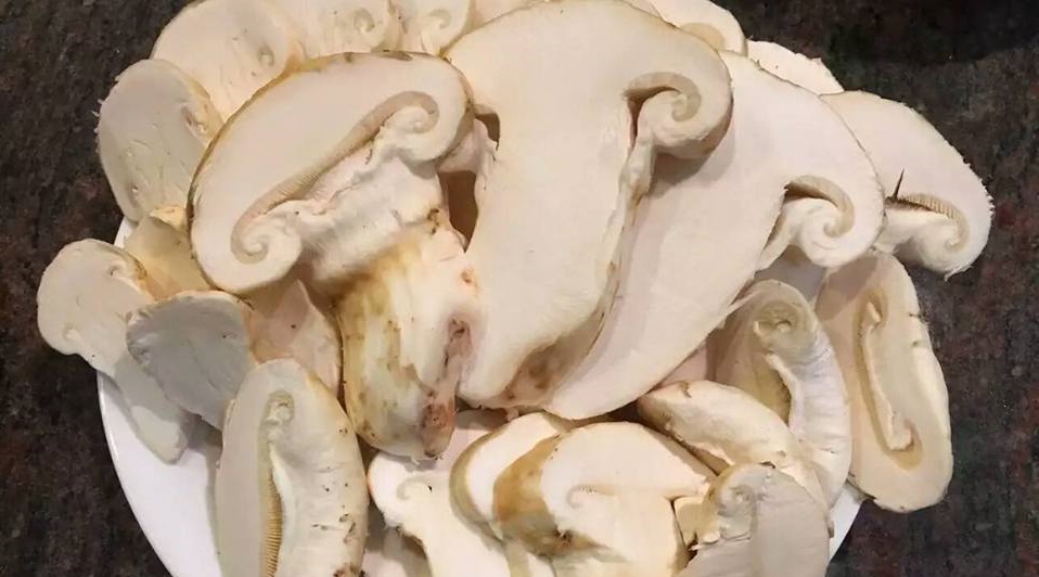 Pacific Rim Mushrooms Online