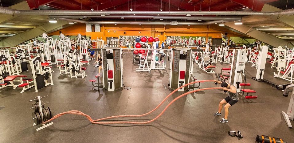 Global Fitness Online