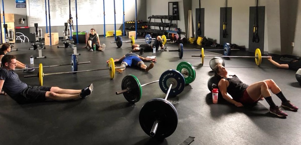 Synergee Fitness Online