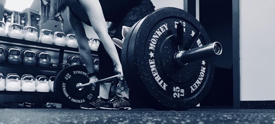 Lively Athletic Centre Online