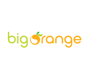 Big Orange Logo