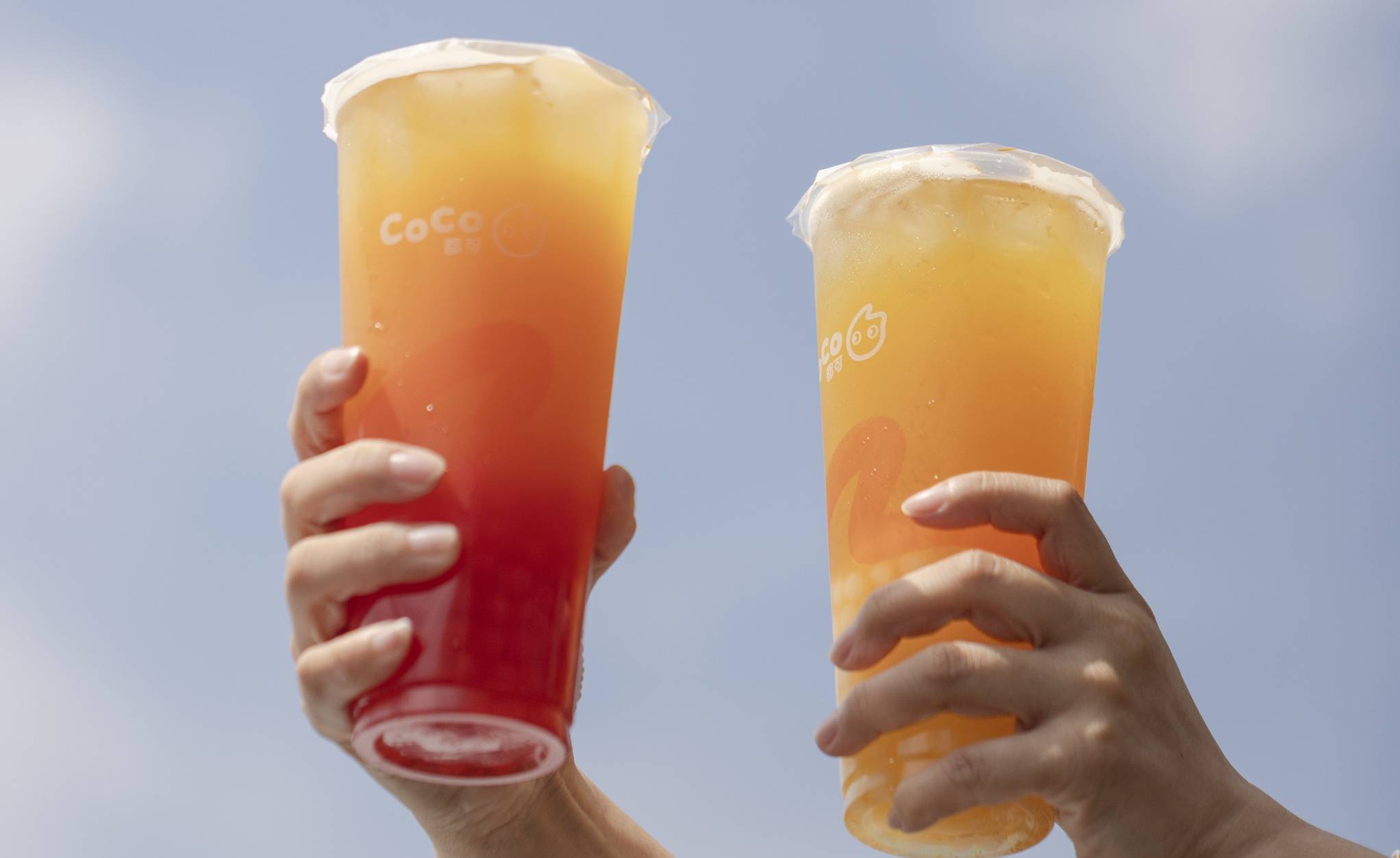 CoCo Fresh Tea - Bubble Tea