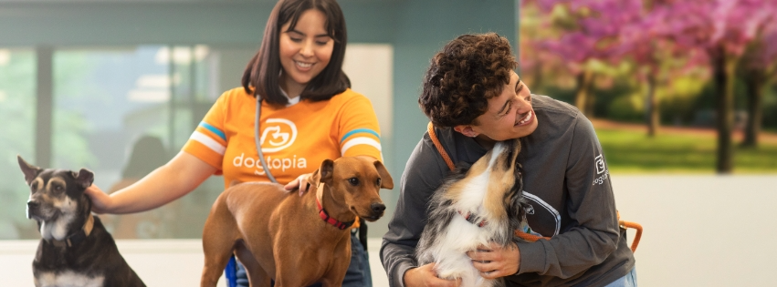 Dogtopia - Dog Daycare