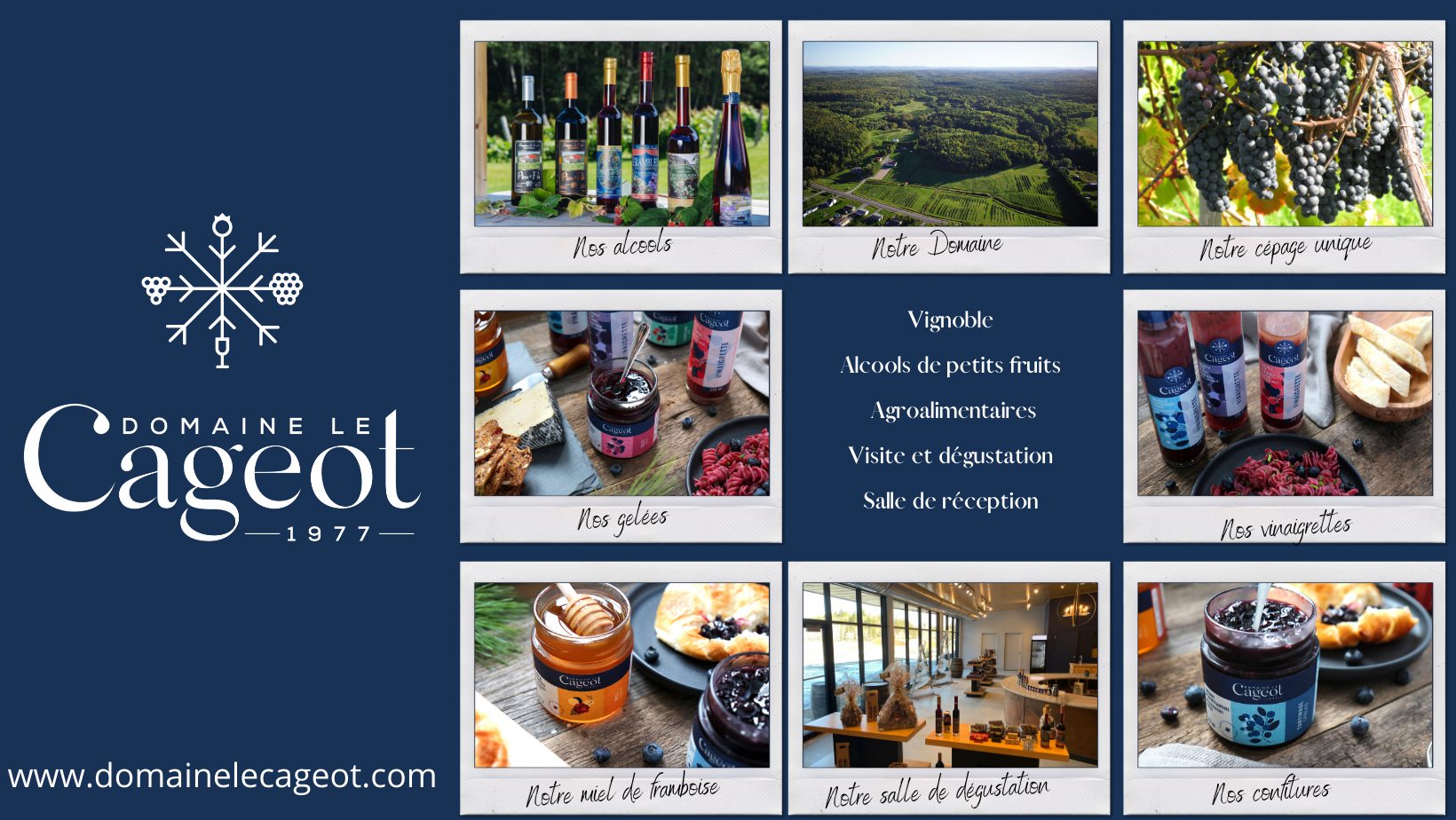Domaine Le Cageot - Vineyard & Distillery