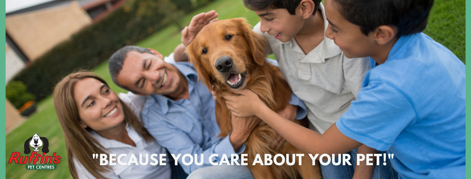 Ruffin's Pet Centres