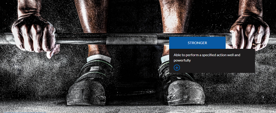 Shameless Fitness Online