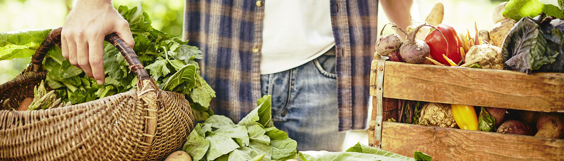 TNS Health Food - Grocery Store