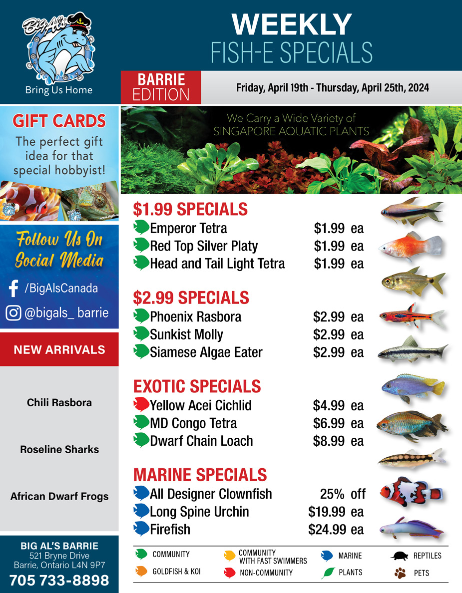 Big Al's - Barrie - Weekly Flyer Specials