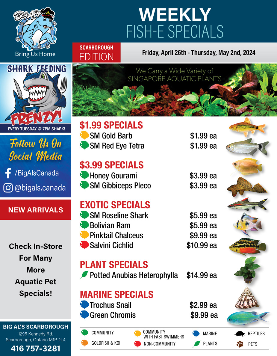 Big Al's - Scarborough - Weekly Flyer Specials