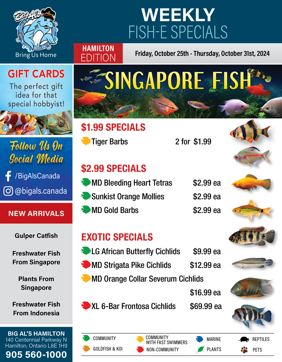 Big Al's Hamilton Weekly Flyer Specials from Oct 25th to Oct 31st