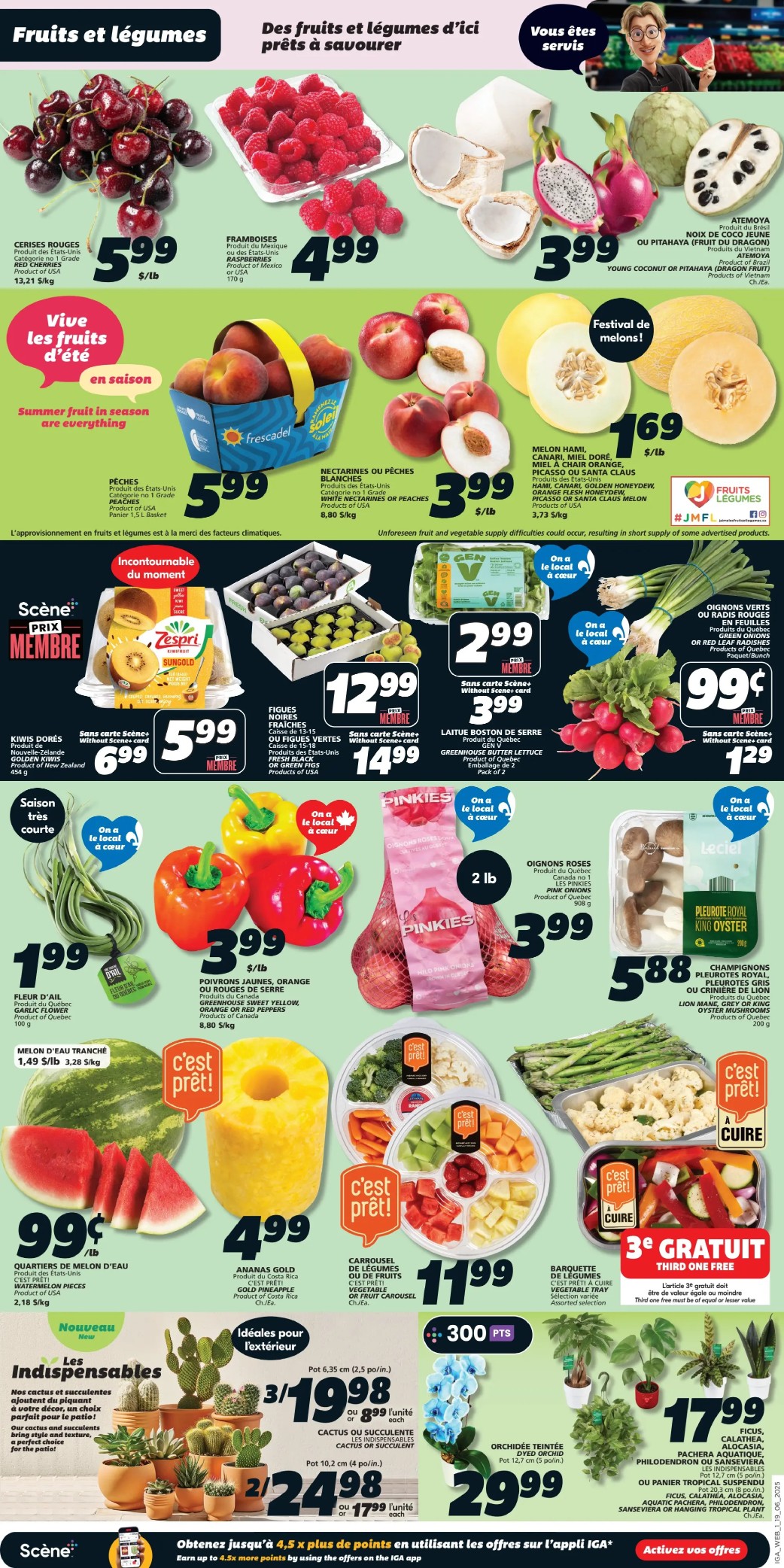 IGA - Quebec - Weekly Flyer Specials - Valid from June 19 to 25, 2025 - Page 5