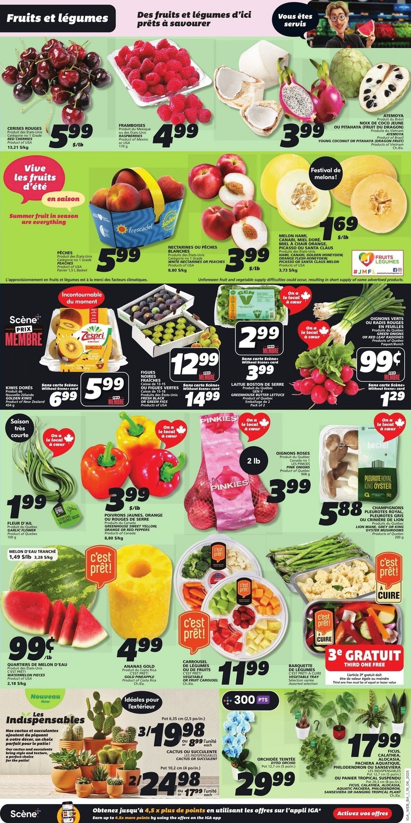 IGA - New Brunswick - Weekly Flyer Specials - Valid from June 19 to 25, 2025 - Page 5