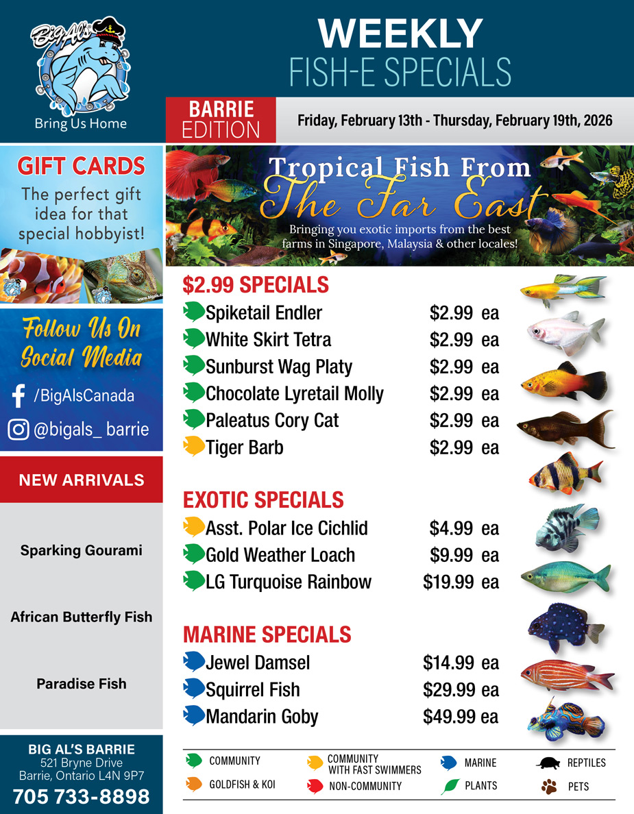 Big Al's - Barrie - Weekly Flyer Specials