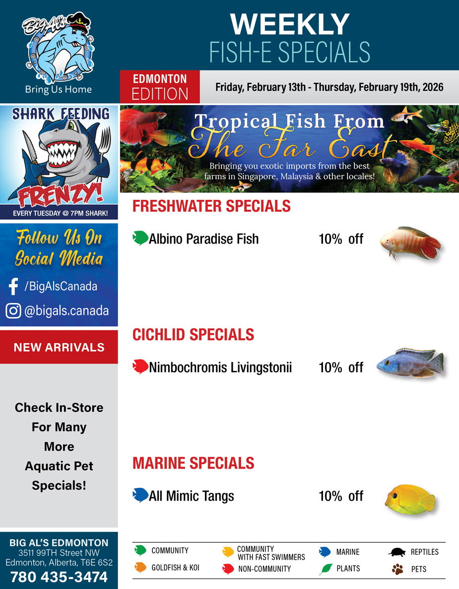 Big Al's - Edmonton - Weekly Flyer Specials