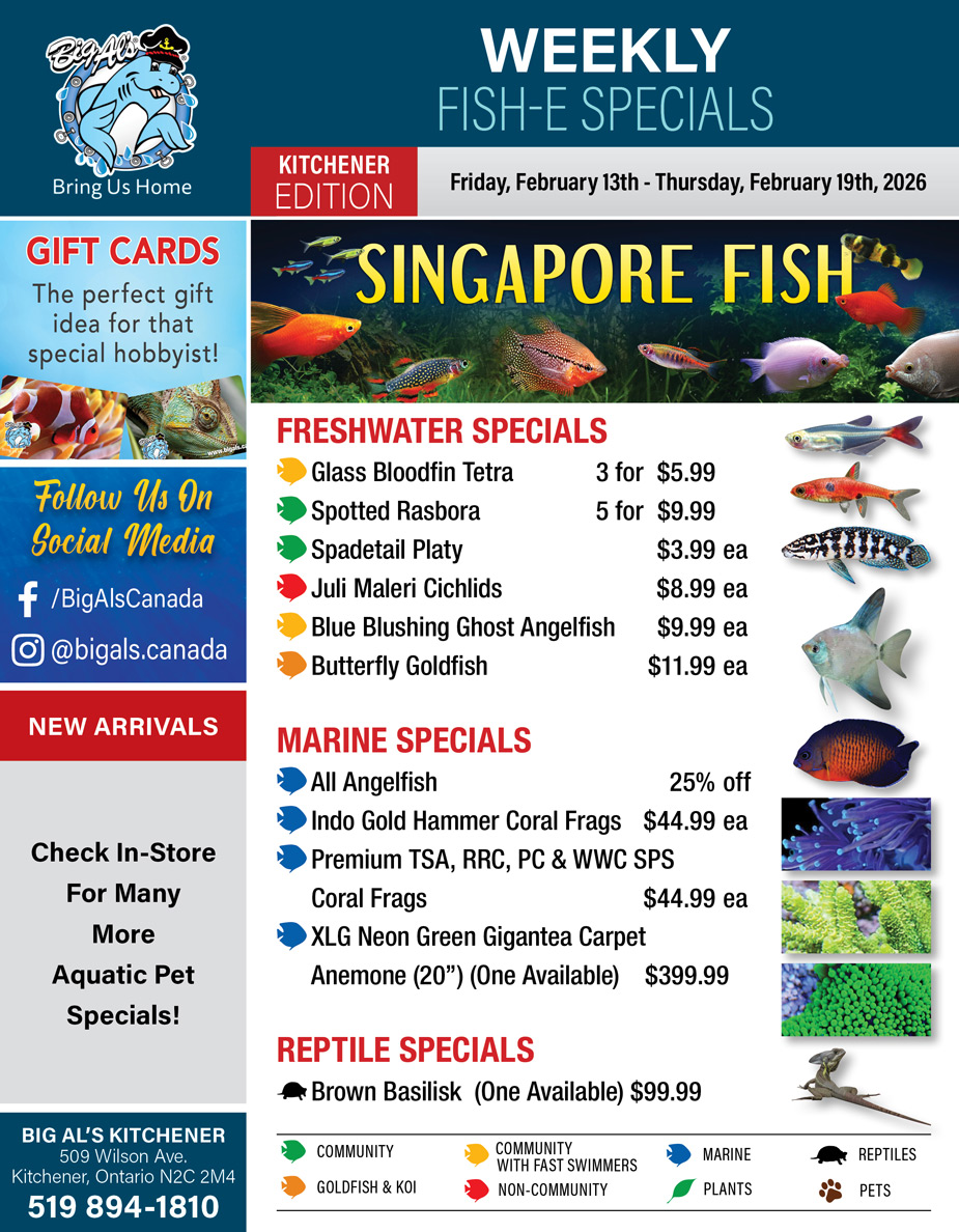 Big Al's - Kitchener - Weekly Flyer Specials