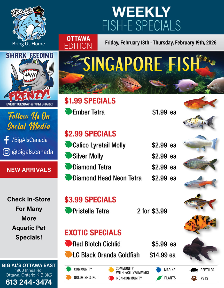 Big Al's - Ottawa - Weekly Flyer Specials