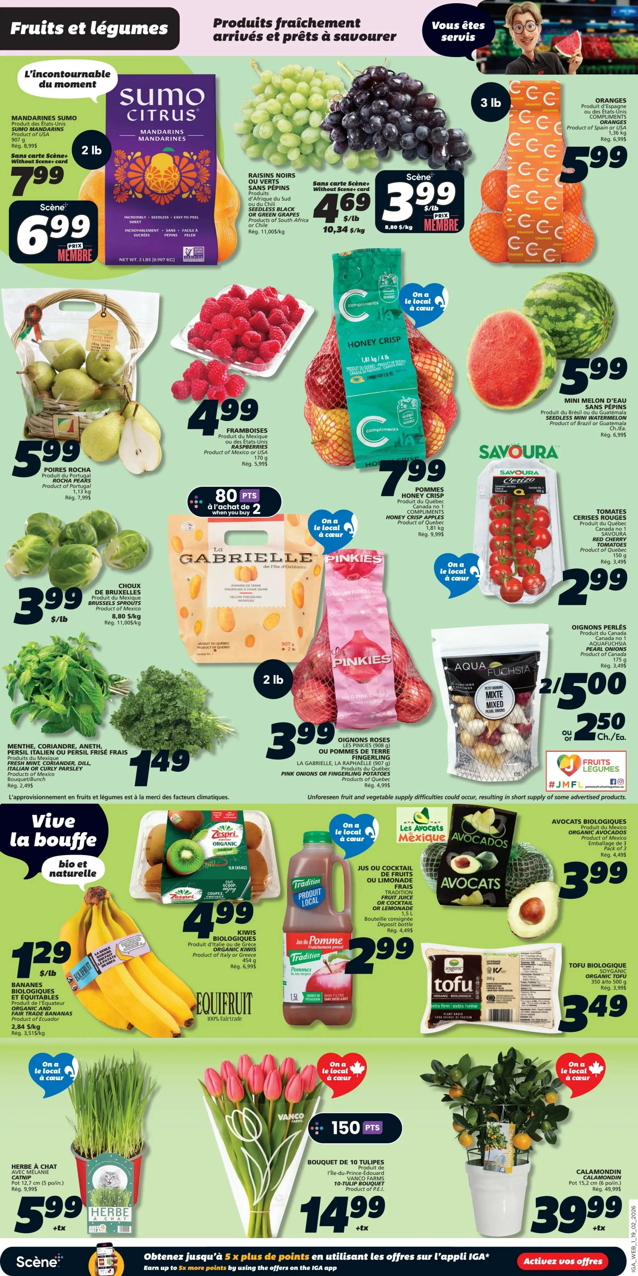 IGA Weekly Flyer Specials Page 3: Featuring a variety of fresh fruits and vegetables. Highlights include Sumo Citrus Mandarins for $7.99 (2 lb bag), green or black seedless grapes for $4.69/lb, and Compliments Oranges for $5.99 (3 lb bag). Also featured are Rocha Pears for $5.99/lb, raspberries for $4.99, and Honey Crisp Apples for $7.99. Brussels Sprouts are $3.99/lb. Fresh mint, cilantro, dill, Italian or curly parsley are $1.49 per bunch. La Gabrielle Pink Onions are $4.99, and Aqua Fuchsia Mixed Pearl Onions are 2 for $5.00. Savoura Red Cherry Tomatoes are $2.99. Organic Avocados are $3.99 for a 3-pack. Organic Kiwis are $4.99. Equifruit Organic and Fair Trade Bananas are $1.29/lb. A 1.5L bottle of Tradition Fruit Juice or Cocktail is $2.99. Soyginc Organic Tofu is $3.49. Also available are a Catnip plant for $5.99, a 10-tulip bouquet for $14.99, and a Calamondin tree for $39.99. The page also promotes earning up to 5x more Scene+ points by using offers on the IGA app.