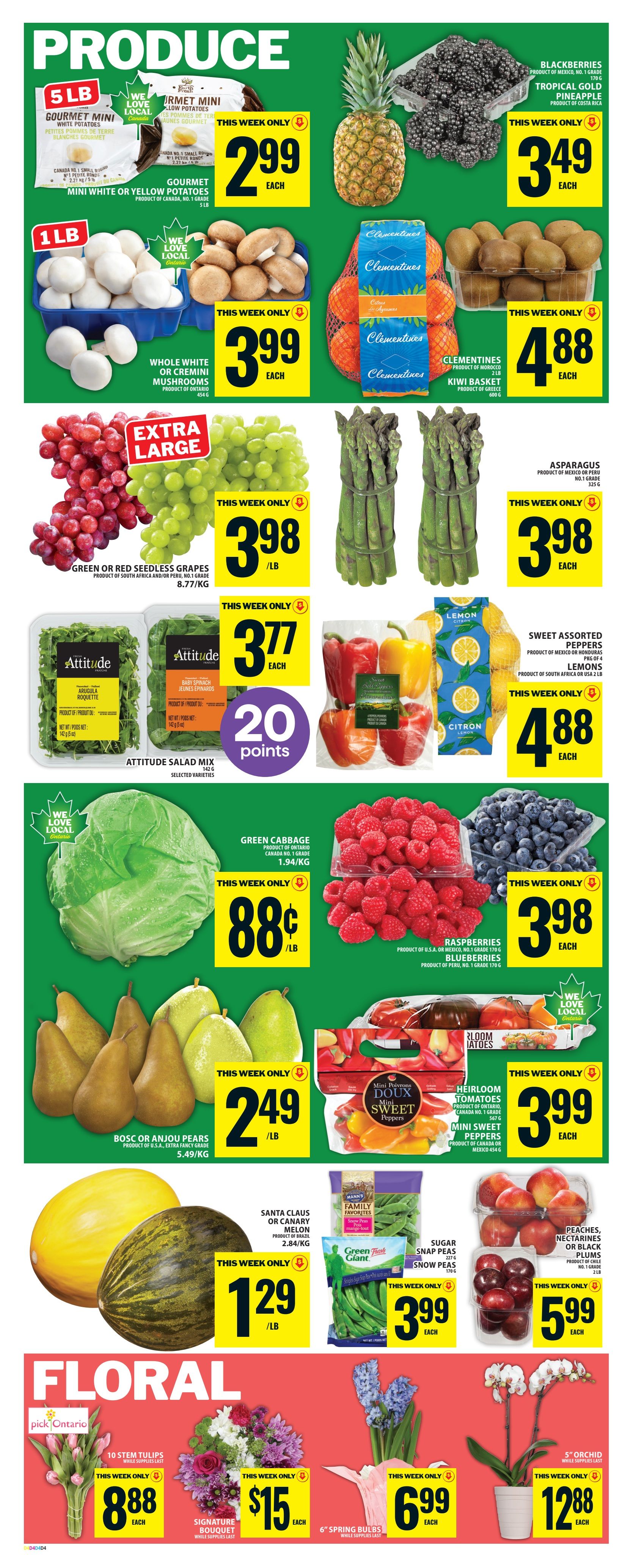 Food Basics weekly flyer specials page 7 features a variety of produce and floral items. Produce includes 5 lb Gourmet Mini White or Yellow Potatoes for $2.99 each, Whole White or Cremini Mushrooms for $3.99 each, Blackberries and Tropical Gold Pineapple for $3.49 each, Clementines and Kiwi Basket for $4.88 each, Asparagus for $3.98 each, Green or Red Seedless Grapes for $0.98/lb, Attitude Salad Mix for $3.77 each with 20 bonus points, Sweet Assorted Peppers and Lemons for $4.88 each, Green Cabbage for $0.88/lb, Raspberries and Blueberries for $3.98 each, Bosc or Anjou Pears for $2.49/lb, Santa Claus or Canary Melon for $1.29/lb, Heirloom Tomatoes and Mini Sweet Peppers for $3.99 each, Sugar Snap Peas and Snow Peas for $3.99 each, and Peaches, Nectarines or Black Plums for $5.99 each. The floral section includes 10 Stem Tulips for $8.88 each, Signature Bouquet for $15 each, 6' Spring Bulbs for $6.99 each, and a 5' Orchid for $12.88 each.