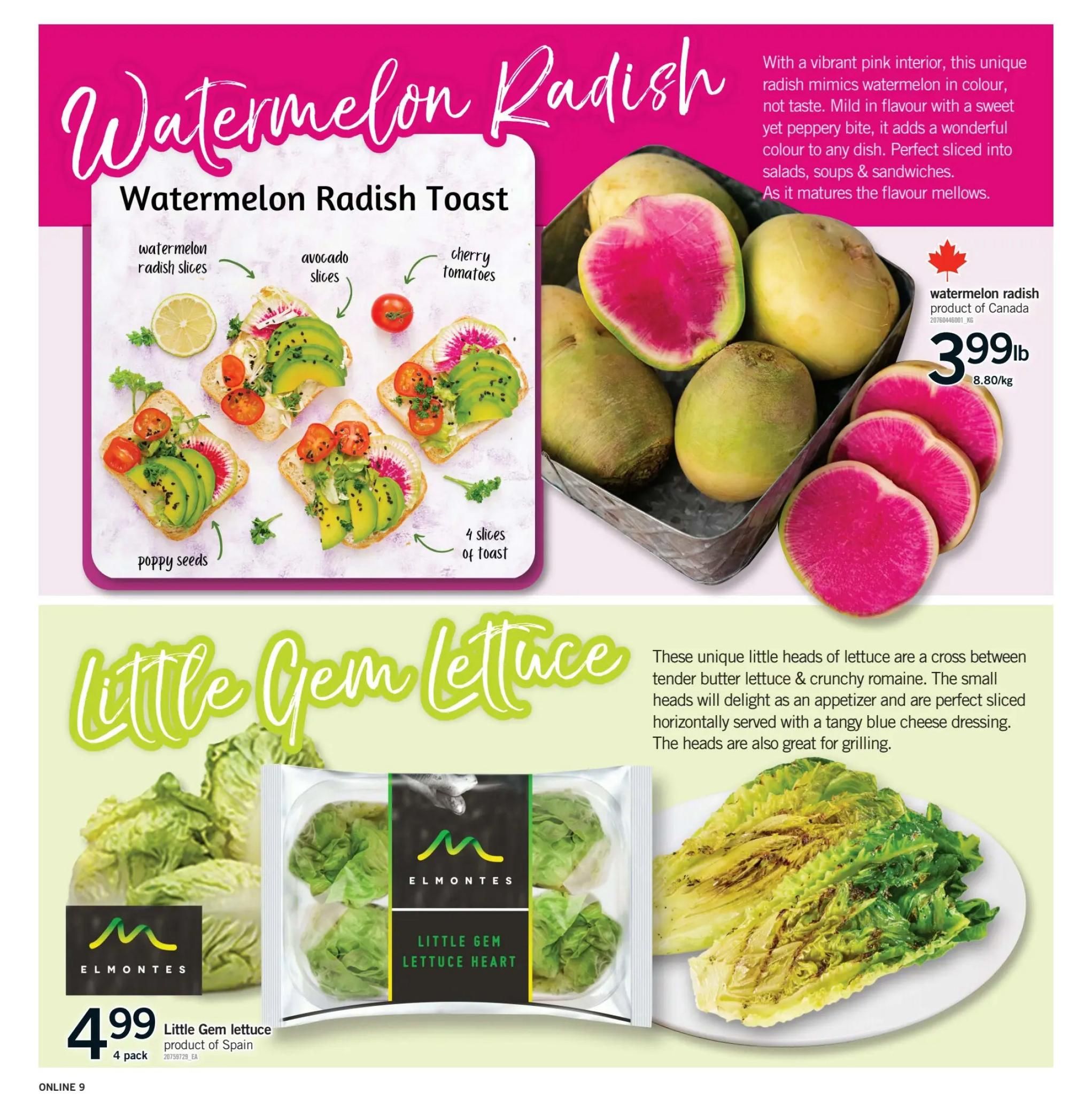 Fortinos weekly flyer specials page 9 features Watermelon Radish, a unique radish with a vibrant pink interior, sold for $3.99lb. It is described as mild with a sweet yet peppery bite, perfect for salads, soups, and sandwiches. The page also highlights Elmontes Little Gem lettuce hearts, product of Spain, available in a 4 pack for $4.99. The description notes that these lettuce heads are a cross between butter lettuce and crunchy romaine, ideal as an appetizer or sliced with dressing, and great for grilling.