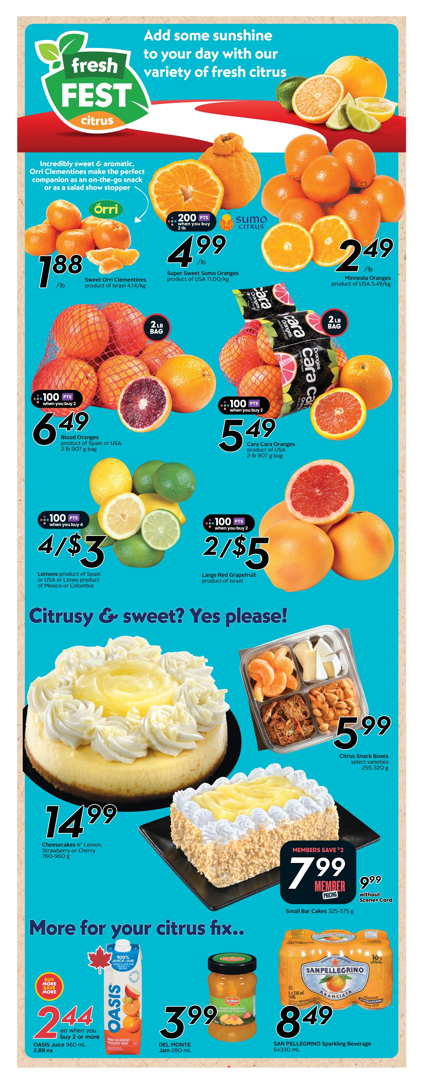 Sobeys Alberta flyer page 11 features a 'Fresh Fest Citrus' promotion. Highlighted are Orri Clementines at $1.88/lb, Super Sweet Sumo Oranges at $4.99/lb with 200 bonus points when you buy 2 lbs, and Minneola Oranges at $2.49/lb. Also featured are 2 lb bags of Blood Oranges for $6.49 when you buy 2, and 2 lb bags of Cara Cara Oranges for $5.49 when you buy 2. Lemons from Spain or USA, or Limes from Mexico or Colombia are 4/$3 when you buy 4, and Large Red Grapefruit from Israel are 2/$5. Sweet treats include a 6' Lemon, Strawberry, or Cherry Cheesecake for $14.99, and Citrus Snack Boxes for $5.99. For members, Small Bar Cakes are $7.99 (save $2) and $9.99 without Scene+ Card. Additional items include Oasis Juice 960 mL at $2.44 each when you buy 2 or more, Del Monte Jam 280 mL for $3.99, and San Pellegrino Sparkling Beverage 6x330 mL for $8.49.
