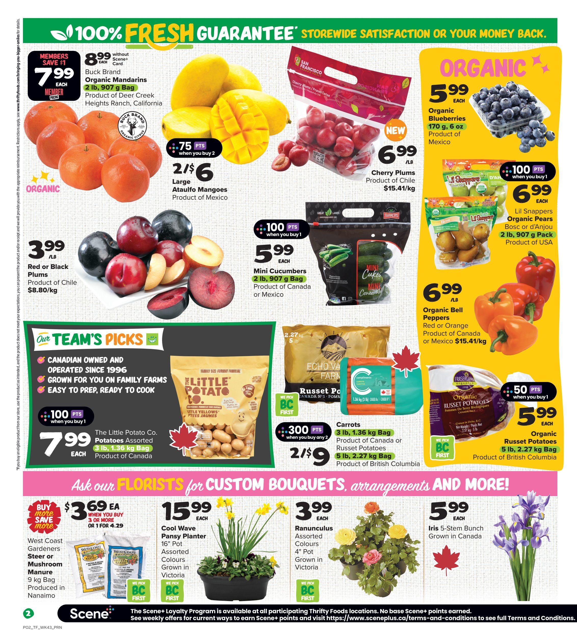 Thrifty Foods weekly flyer specials page 3 features a variety of fresh produce and plants. Save $1 on Buck Brand Organic Mandarins, 2 lb bag, for $7.99 each. Large Ataulfo Mangoes are 2 for $6, with 75 bonus Scene+ points when you buy 2. Cherry Plums from Chile are $6.99/lb. Organic Blueberries, 170 g, are $5.99 each. Mini Cucumbers, 2 lb bag, are $5.99 each with 100 bonus Scene+ points when you buy 1. Lil Snappers Organic Pears, 2 lb bag, are $6.99 each with 100 bonus Scene+ points when you buy 1. Organic Bell Peppers, red or orange, are $6.99/lb. Organic Russet Potatoes, 5 lb bag, are $5.99 each with 50 bonus Scene+ points when you buy 1. Team's Picks include The Little Potato Co. Assorted Potatoes, 3 lb bag, for $7.99 each with 100 bonus Scene+ points when you buy 1. Carrots, 3 lb bag, are 2 for $9, and Russet Potatoes, 5 lb bag, are also 2 for $9, with 300 bonus Scene+ points when you buy any 2. Also featured are West Coast Gardeners Steer or Mushroom Manure, 9 kg bag, for $3.69 each when you buy 3 or more, or $4.29 for 1. Cool Wave Pansy Plants, 16' pot, assorted colours grown in Victoria, are $15.99 each. Ranunculus Assorted Colours, 4' pot, grown in Victoria, are $3.99 each. Iris 5-Stem Bunch, grown in Canada, are $5.99 each.