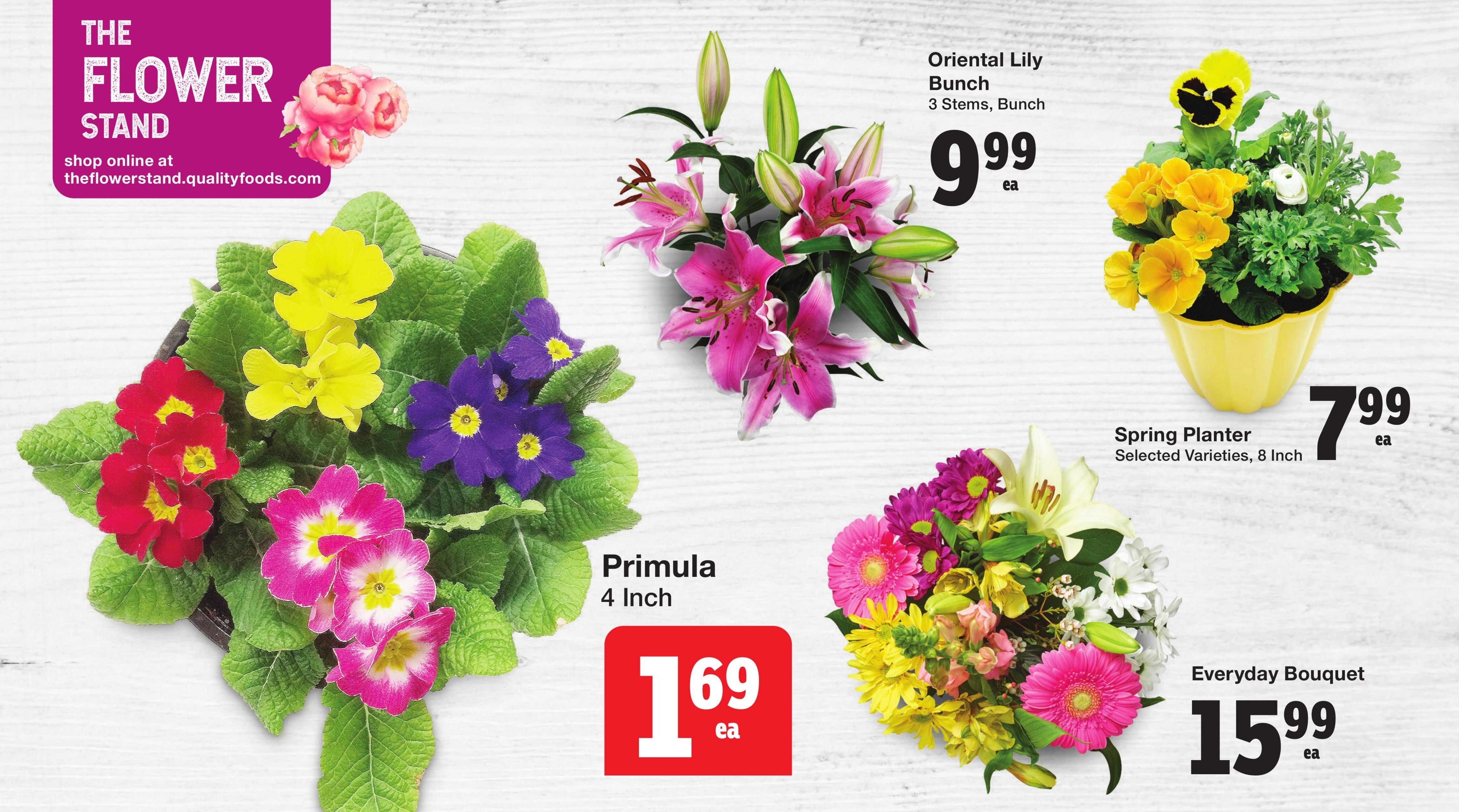 Quality Foods weekly flyer specials page 3 features The Flower Stand with various floral arrangements. Available are Primula 4 Inch plants for $1.69 each, Oriental Lily Bunch (3 stems) for $9.99 each, and an Everyday Bouquet for $15.99 each. Also featured is a Spring Planter, selected varieties, 8 Inch, for $7.99 each. Shop online at theflowerstand.qualityfoods.com.