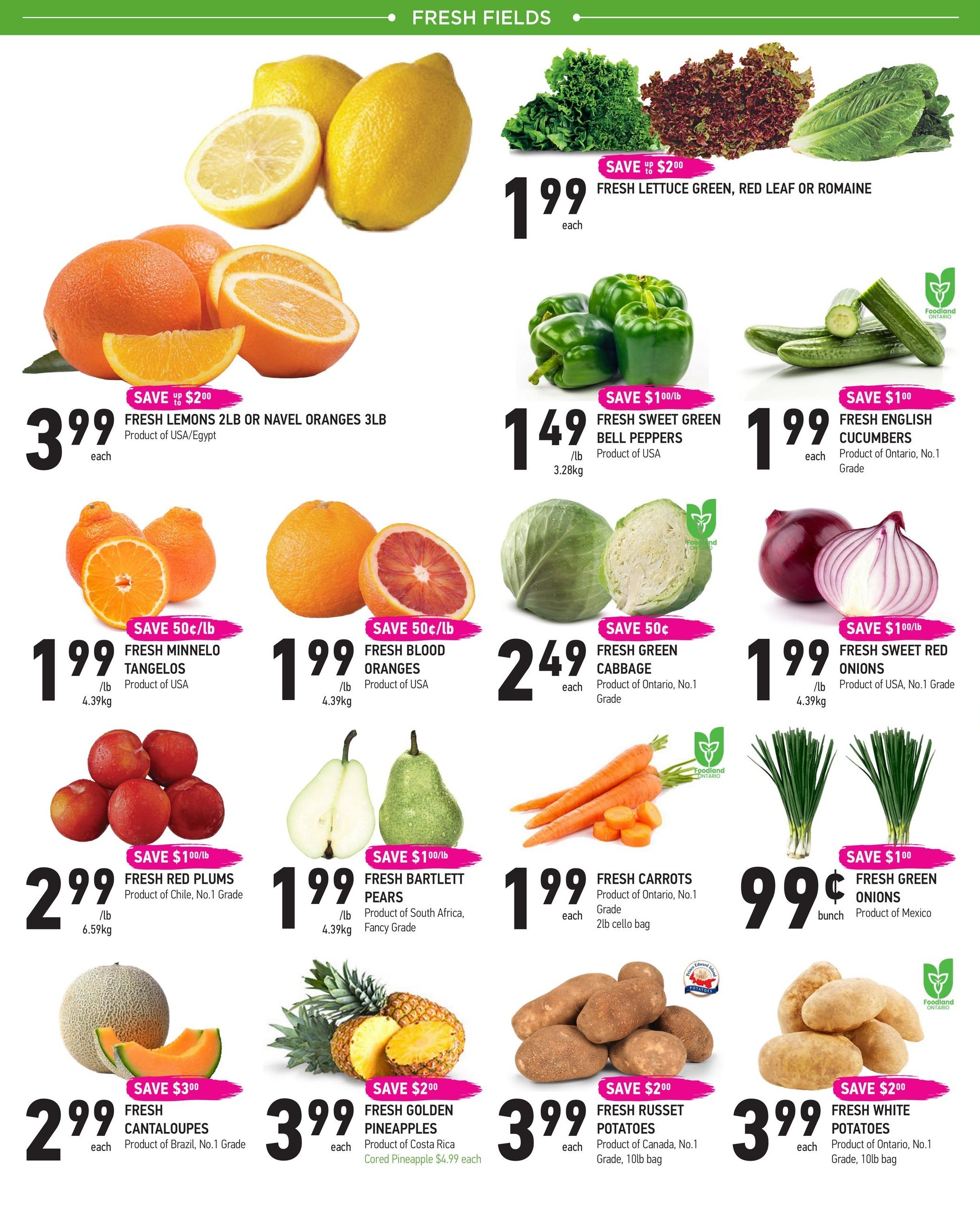 Coppa's Fresh Market weekly flyer specials page 2 features a variety of fresh produce. Save up to $2.00 on Fresh Lettuce Green, Red Leaf or Romaine for $1.99 each. Fresh Lemons or Navel Oranges 3lb bag is $3.99. Fresh Sweet Green Bell Peppers are $1.49/lb, save $1.00/lb. Fresh English Cucumbers are $1.99 each, save $1.00. Fresh Minnelo Tangelos are $1.99/lb, save 50¢/lb. Fresh Blood Oranges are $1.99/lb, save 50¢/lb. Fresh Green Cabbage is $2.49 each, save 50¢. Fresh Sweet Red Onions are $1.99/lb, save $1.00/lb. Fresh Red Plums are $2.99/lb, save $1.00/lb. Fresh Bartlett Pears are $1.99/lb, save $1.00/lb. Fresh Carrots are $1.99 each, save $1.00. Fresh Green Onions are 99¢ per bunch, save $1.00. Fresh Cantaloupes are $2.99 each, save $3.00. Fresh Golden Pineapples are $3.99 each, with cored pineapple at $4.99 each. Fresh Russet Potatoes are $3.99 each for a 10lb bag, save $2.00. Fresh White Potatoes are $3.99 each for a 10lb bag, save $2.00.