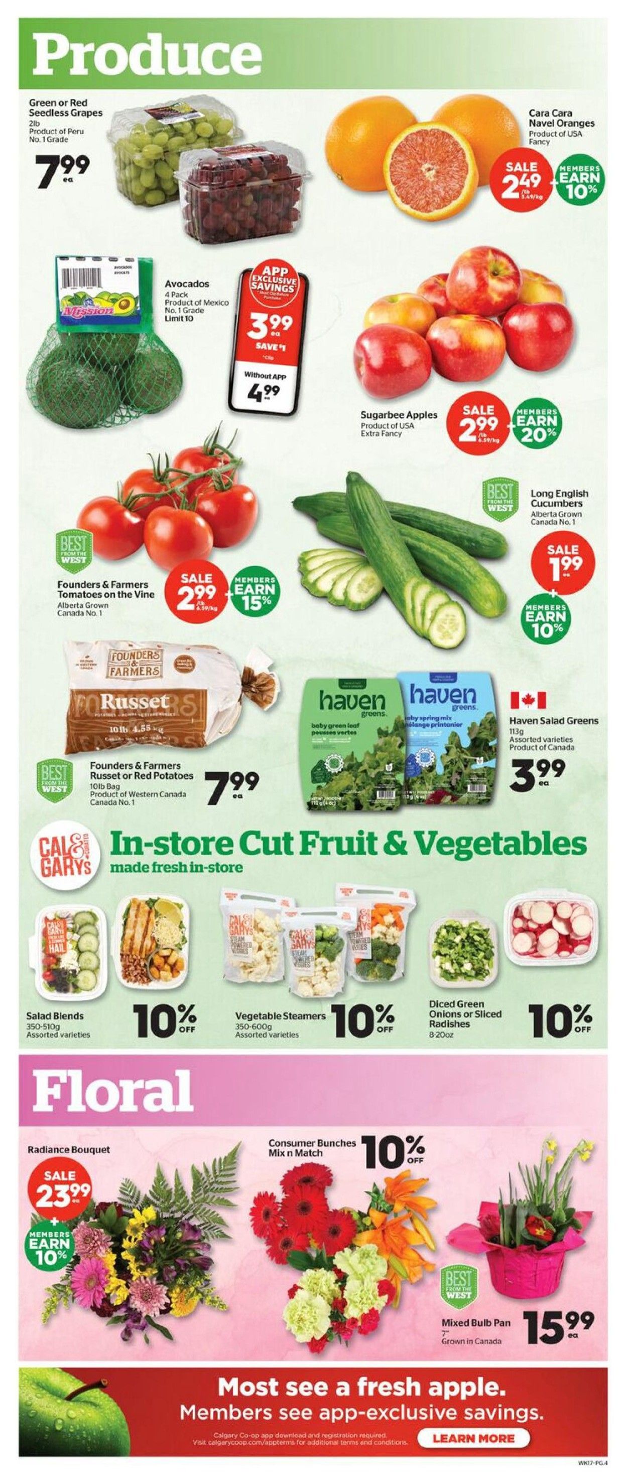 Calgary Co-op Weekly Flyer Specials, Page 4. Produce section features Green or Red Seedless Grapes for $7.99 ea, Avocados (4 pack) for $3.99 with app savings (regular $4.99), Cara Cara Navel Oranges for $2.49/lb with members earning 10% back, Sugarbee Apples for $2.99/lb with members earning 20% back, Founders & Farmers Tomatoes on the Vine for $2.99/lb with members earning 15% back, and Long English Cucumbers for $1.99 with members earning 10% back. Also available are Founders & Farmers Russet or Red Potatoes (10lb bag) for $7.99 ea. In-store Cut Fruit & Vegetables include Salad Blends (350-510g) and Vegetable Steamers (350-600g) at 10% off, and Diced Green Onions or Sliced Radishes (8-20oz) at 10% off. The Floral section offers Radiance Bouquets on sale for $23.99 with members earning 10% back, Consumer Bunches Mix n Match at 10% off, and a Mixed Bulb Pan (7') for $15.99 ea. A banner at the bottom promotes app-exclusive savings.