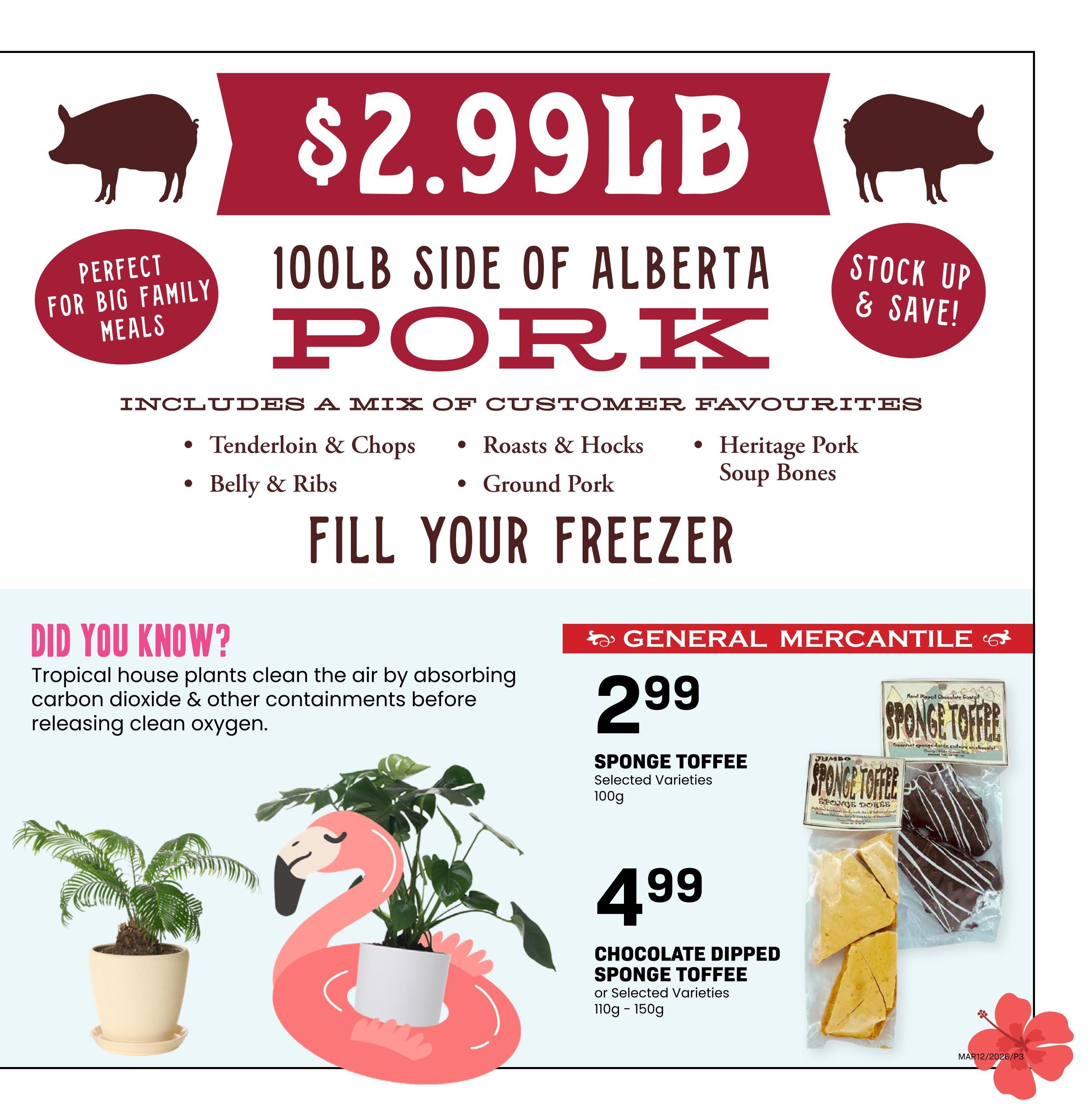 Freson Bros weekly flyer specials page 3. Featuring a 100lb side of Alberta Pork for $2.99lb, perfect for big family meals and includes Tenderloin & Chops, Belly & Ribs, Roasts & Hocks, Ground Pork, Heritage Pork, and Soup Bones. Also available are Sponge Toffee Selected Varieties 100g for $2.99 and Chocolate Dipped Sponge Toffee or Selected Varieties 110g - 150g for $4.99. A 'Did You Know?' section highlights that tropical houseplants clean the air.